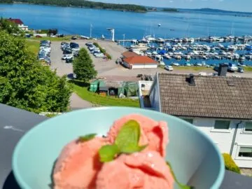 Is av vannmelon