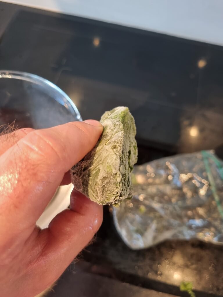 Siste rest av fjorårets basilikum