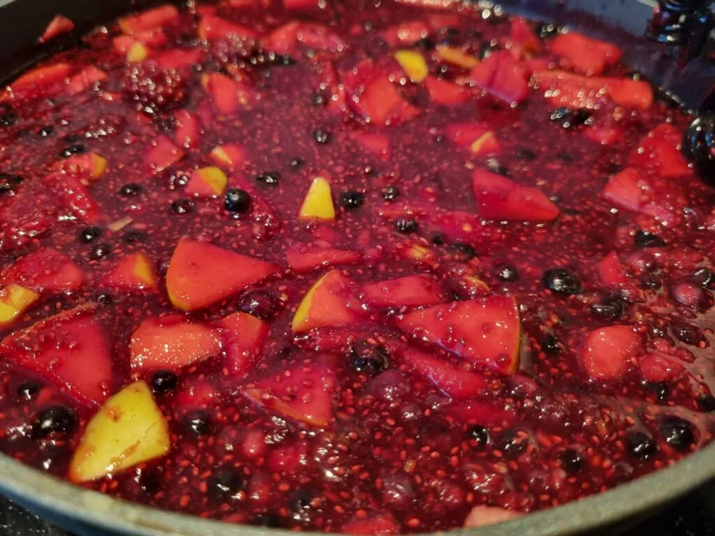 Frukt og eplekompott